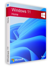 win11home8